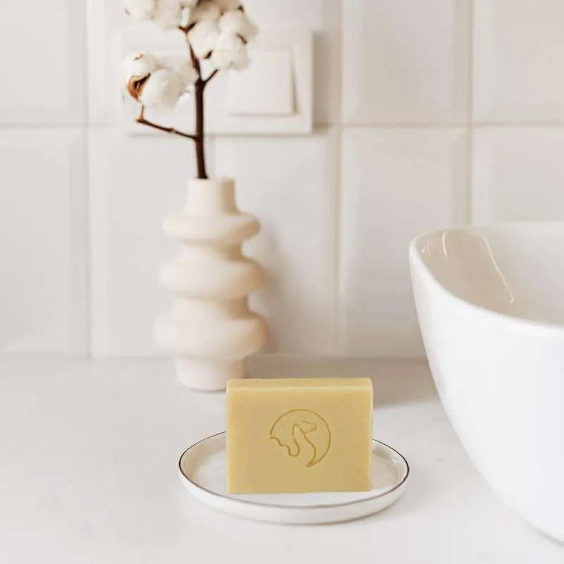 The Camel Soap Factory